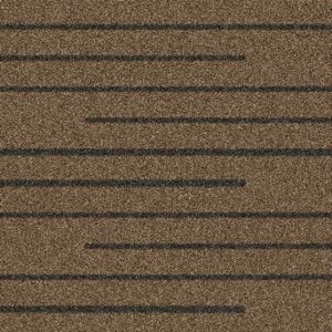 Surya Trinidad TND-1141 Area Rug Clearance