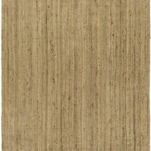 Surya Brice Bic-7004 Area Rug