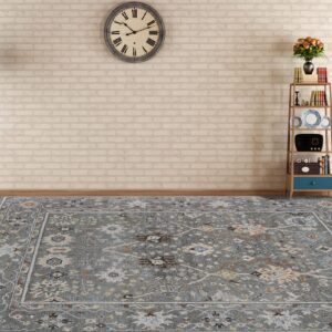 Amer Bristol BRS-15 Gray Area Rug